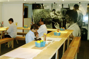 Nise da silveira e a emoção de lidar