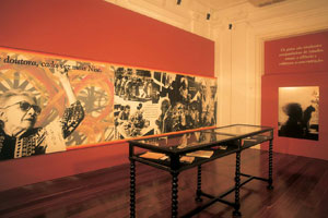 Nise da Silveira - Uma mulher à frente do seu tempo