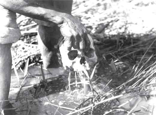 Esta imagem apresenta a mão de uma pessoa segurando um crânio próximo ao chão.