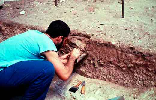 Nesta foto vê-se um homem de costas para a câmera, agachado e escavando fração de terra.