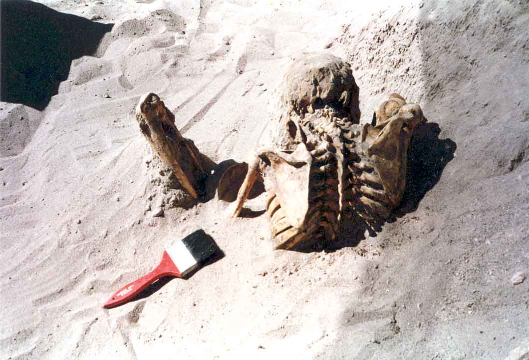 Fotografia mostra ossada humana com parte soterrada. Estão aparentes a coluna vertebral e o crânio, além de um pincel sobre a areia.