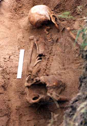 Foto revela parte de restos mortais visíveis.