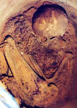 A foto apresenta marcas de ossos incrustadas no chão ou em uma rocha.