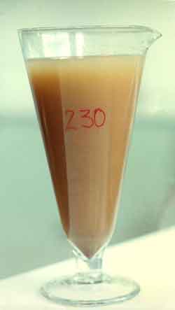 A foto apresenta um copo de vidro cheio com líquido marrom e o número “230” escrito em vermelho.