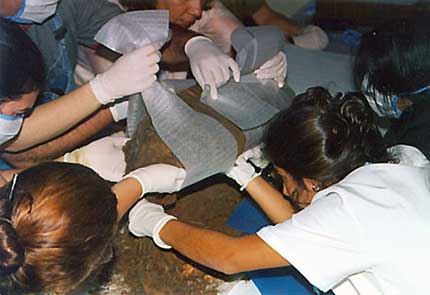 Fotografia mostra pessoas com luvas e máscaras escavando o solo.